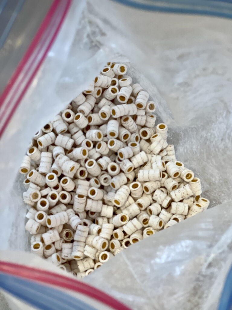 painted pasta in a ziplock