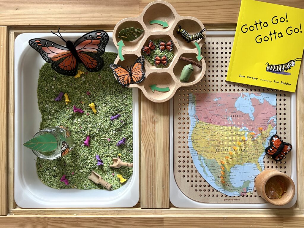 flisat table monarch butterfly sensory activity