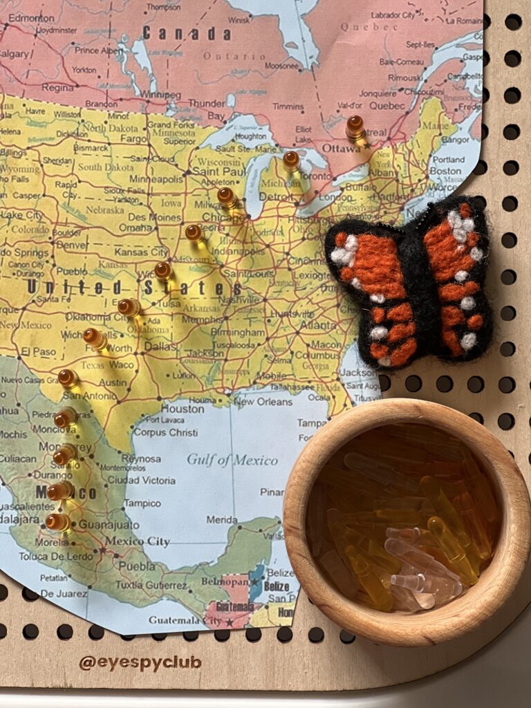 monarch migration activity for kids