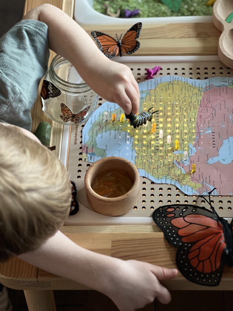 boy playing with monarch butterfly activity