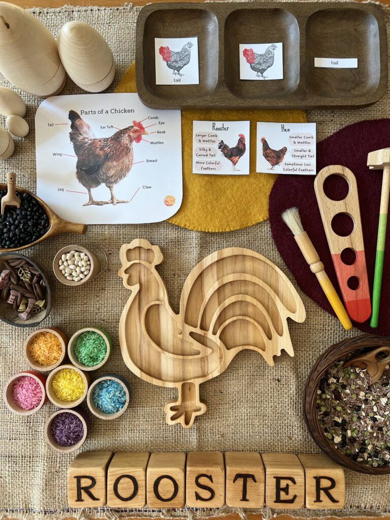 rooster sensory play based learning