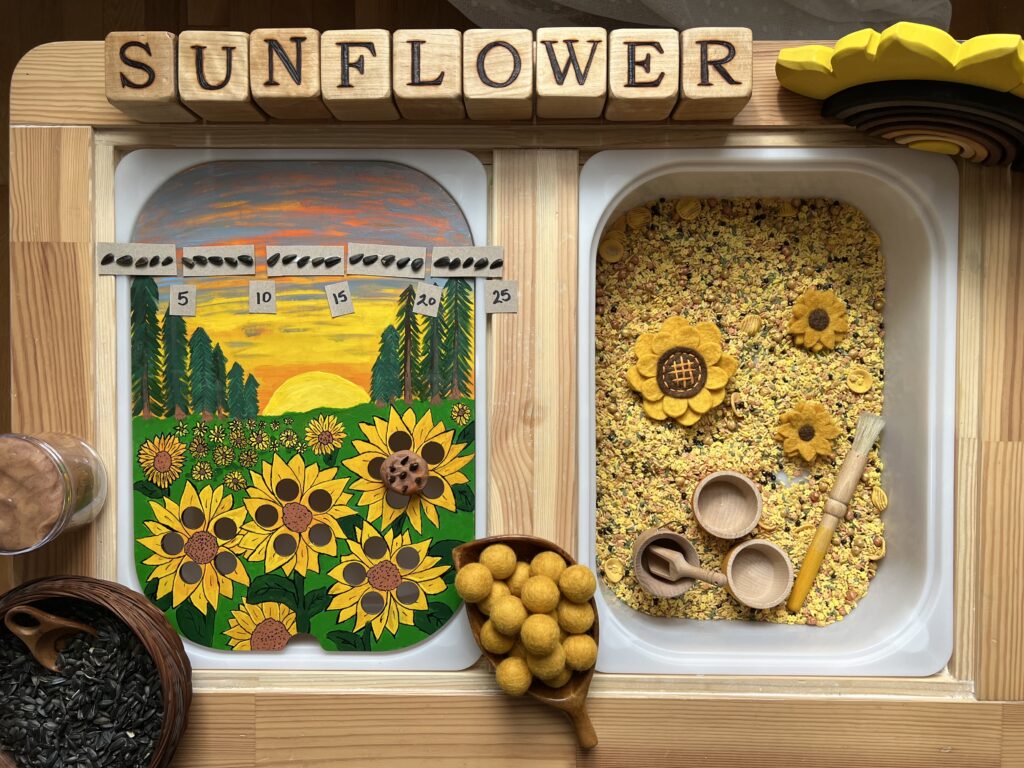 sunflower sensory skip counting playbased learning