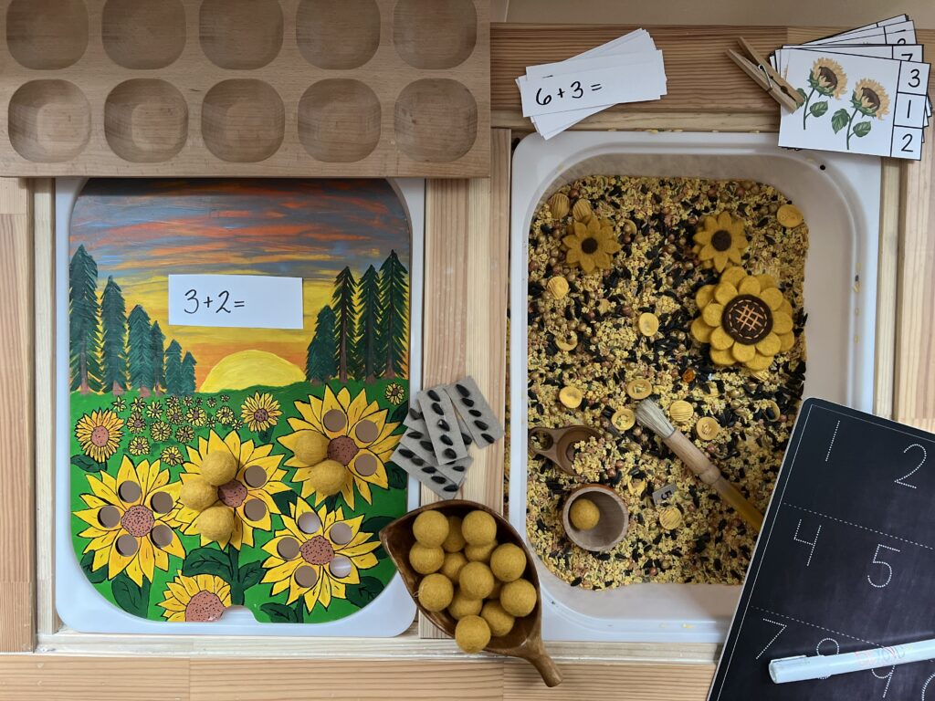 sunflower flisat math learn play