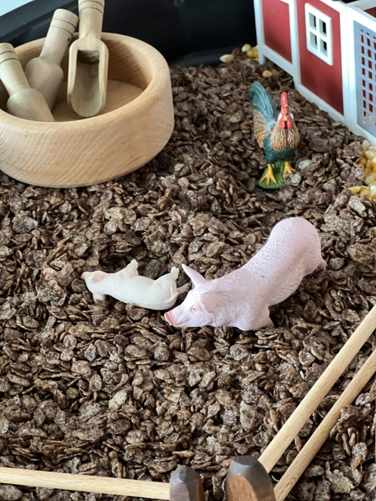 pigs in sensory cereal play