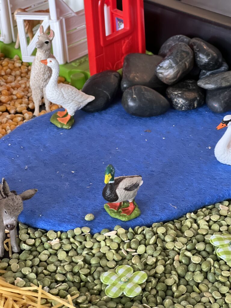 ducks and goose on felt pond