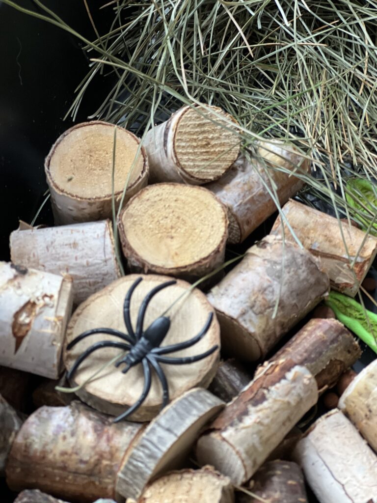 mini stumps with toy spider