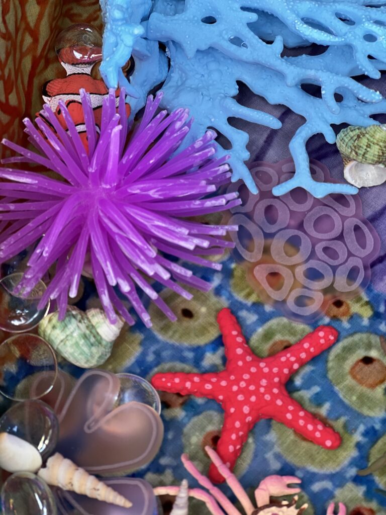 artificial anemone and star fish toy