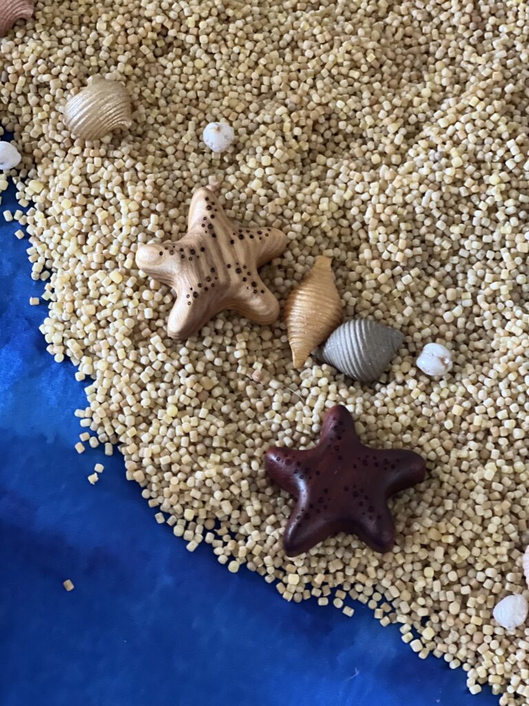 wood starfish toys on sensory mix beach sand