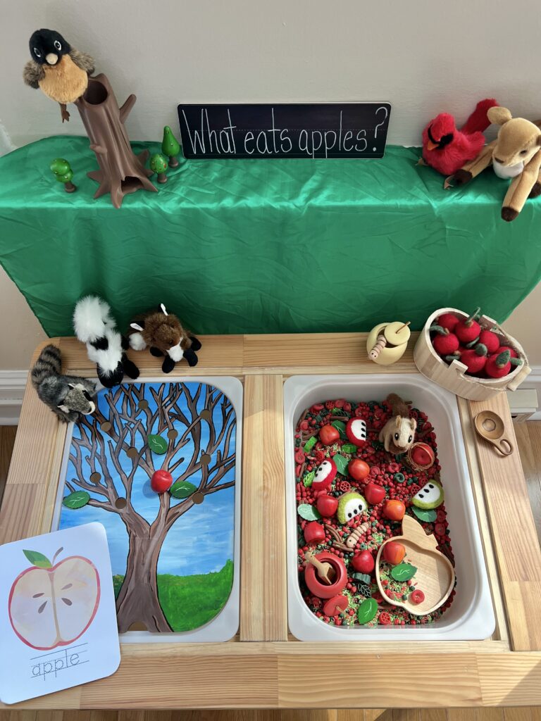 apple sensory bin in flisat table