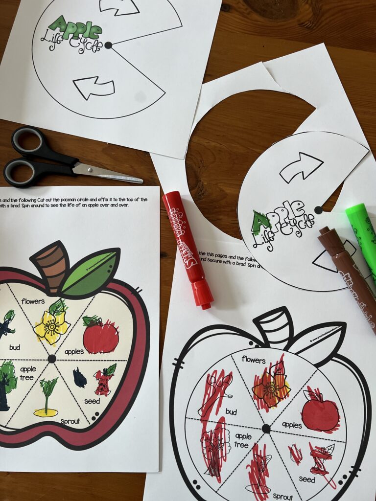 apple life cycle learning printable