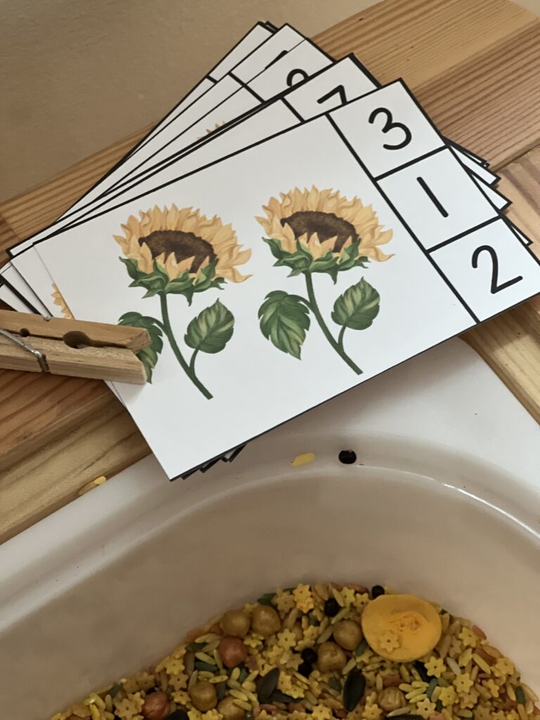 sunflower count and clip cards